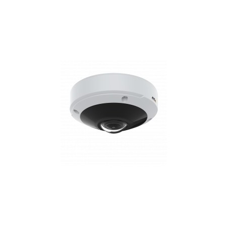 Axis 02109-001 telecamera di sorveglianza Cupola Telecamera di sicurezza IP Interno 2016 x 2016 Pixel Soffitto muro