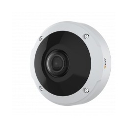 Axis 02109-001 telecamera di sorveglianza Cupola Telecamera di sicurezza IP Interno 2016 x 2016 Pixel Soffitto muro