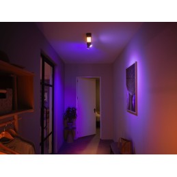 Philips Hue White and Color ambiance Centris Plafoniera Smart (2 punti luce GU10 + LED Integrato) Nera in Alluminio