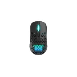 CHERRY XTRFY M42 RGB mouse Ambidestro RF Wireless + USB Type-C Ottico 19000 DPI