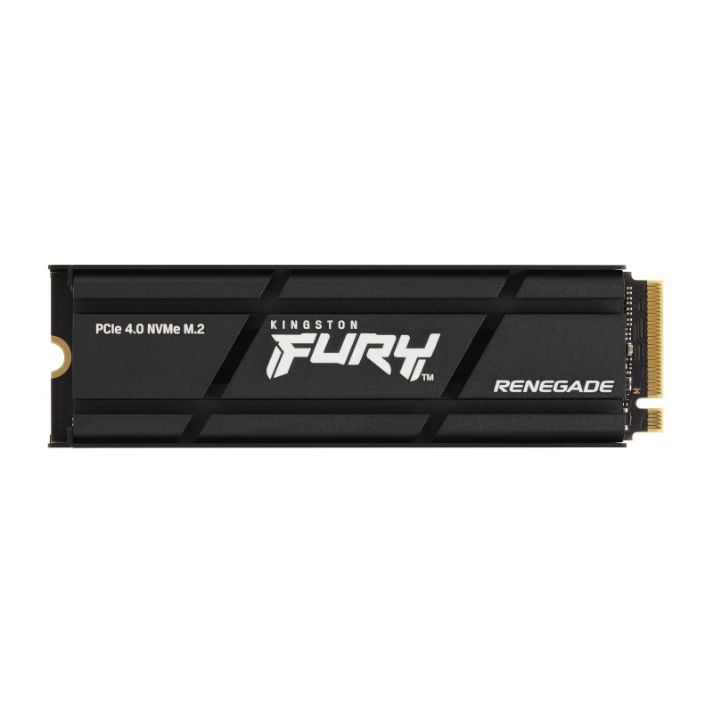 Kingston Technology 4000G RENEGADE PCIe 4.0 NVMe SSD W  Dissipatore di calore