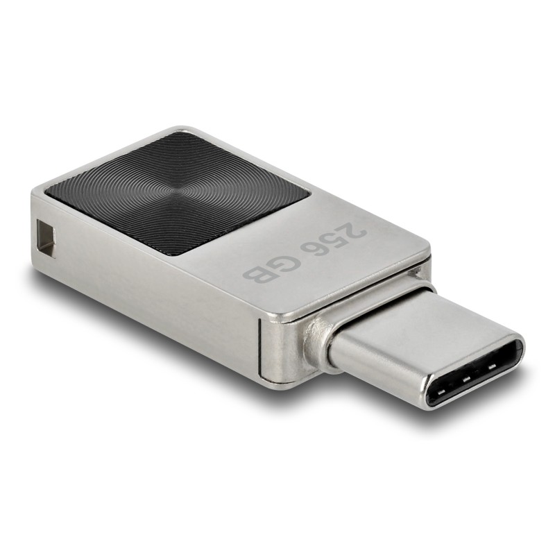 DeLOCK 54009 unità flash USB 256 GB USB tipo-C 3.2 Gen 1 (3.1 Gen 1) Nero, Grigio