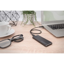 Digitus Alloggiamento esterno SSD, M.2 - USB Type-C™