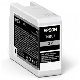 Epson UltraChrome Pro cartuccia d'inchiostro 1 pz Originale Grigio