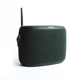 Pure 251891 radio Portatile Verde
