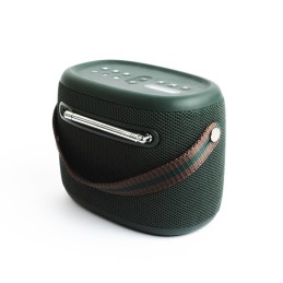 Pure 251891 radio Portatile Verde