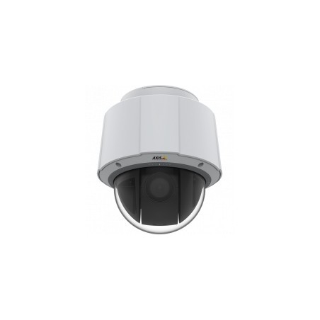 Axis 01967-002 telecamera di sorveglianza Cupola Telecamera di sicurezza IP Interno 1280 x 720 Pixel Soffitto muro