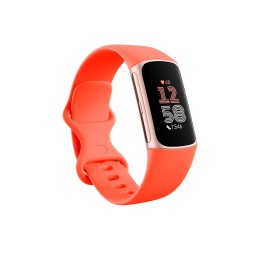Fitbit Charge 6 AMOLED Braccialetto per rilevamento di attività Corallo, Oro
