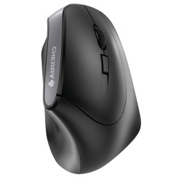 CHERRY MW 4500 mouse...