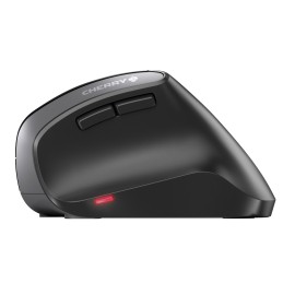 CHERRY MW 4500 mouse Mano destra RF Wireless Ottico 1200 DPI