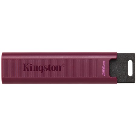 Kingston Technology DataTraveler 256GB Max Type-A 1000R 900W USB 3.2 Gen 2