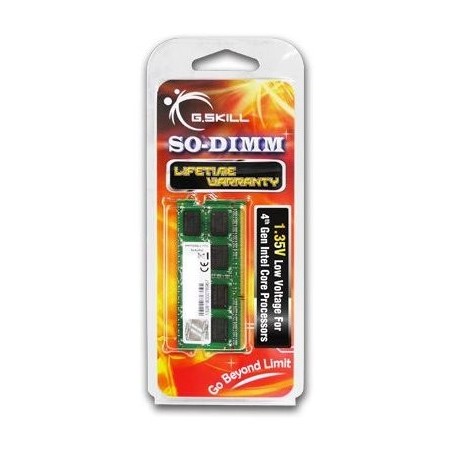 G.Skill 4GB DDR3-1600 memoria 1 x 4 GB 1600 MHz