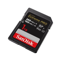 SanDisk SDSDXEP-1T00-GN4IN memoria flash 1 TB SDXC UHS-II Classe 10