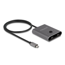 Delock USB 10 Gbps USB...