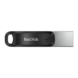 SanDisk SDIX60N-256G-GN6NE unità flash USB 256 GB 3.2 Gen 1 (3.1 Gen 1) Grigio, Argento