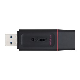 Kingston Technology DataTraveler Drive Flash USB 3.2 - USB Exodia