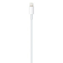 Apple Cavo da Lightning a USB-C (1 m)