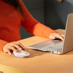 Logitech M171 mouse Ambidestro RF Wireless Ottico