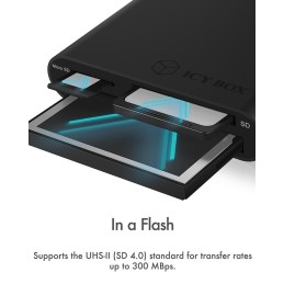 ICY BOX IB-CR301-U3 lettore di schede USB 3.2 Gen 1 (3.1 Gen 1) Nero