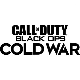 Activision Call of Duty  Black Ops Cold War Standard PlayStation 4