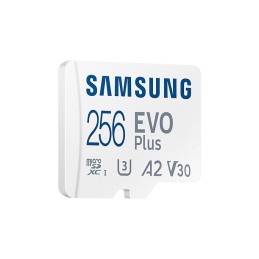 Samsung EVO Plus 256 GB MicroSDXC UHS-I Classe 10