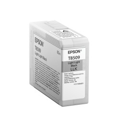 Epson T850900 ink cartridge...