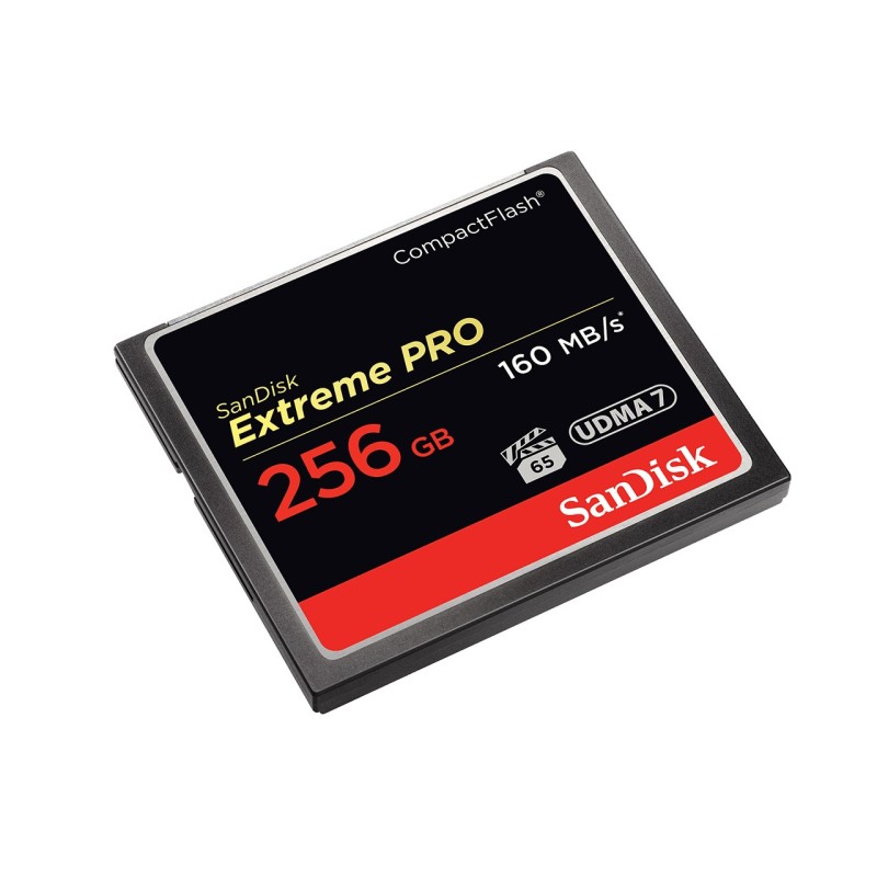 Extreme Pro - Flash-Speicherkarte - 256 GB