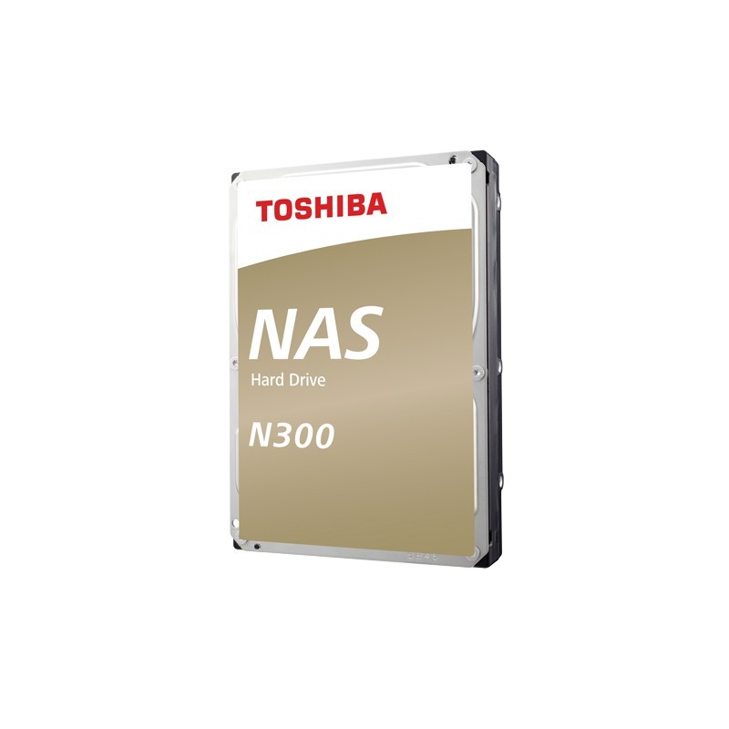 N300 NAS - Festplatte - 10 TB - intern - 3.5" (8.9 cm)