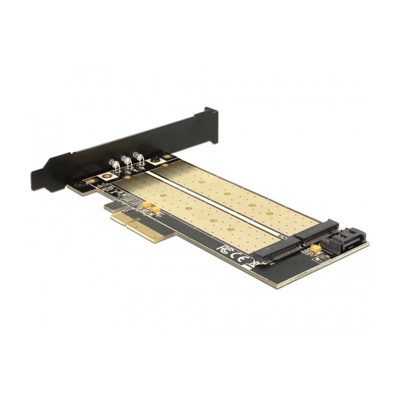 DeLOCK 89630 scheda di interfaccia e adattatore Interno M.2, SATA