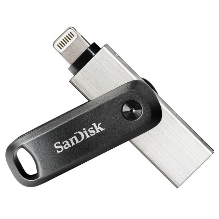 SanDisk SDIX60N-256G-GN6NE unità flash USB 256 GB 3.2 Gen 1 (3.1 Gen 1) Grigio, Argento