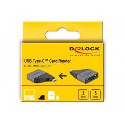 DeLOCK 64117 lettore di schede USB 3.2 Gen 1 (3.1 Gen 1) Type-C Grigio