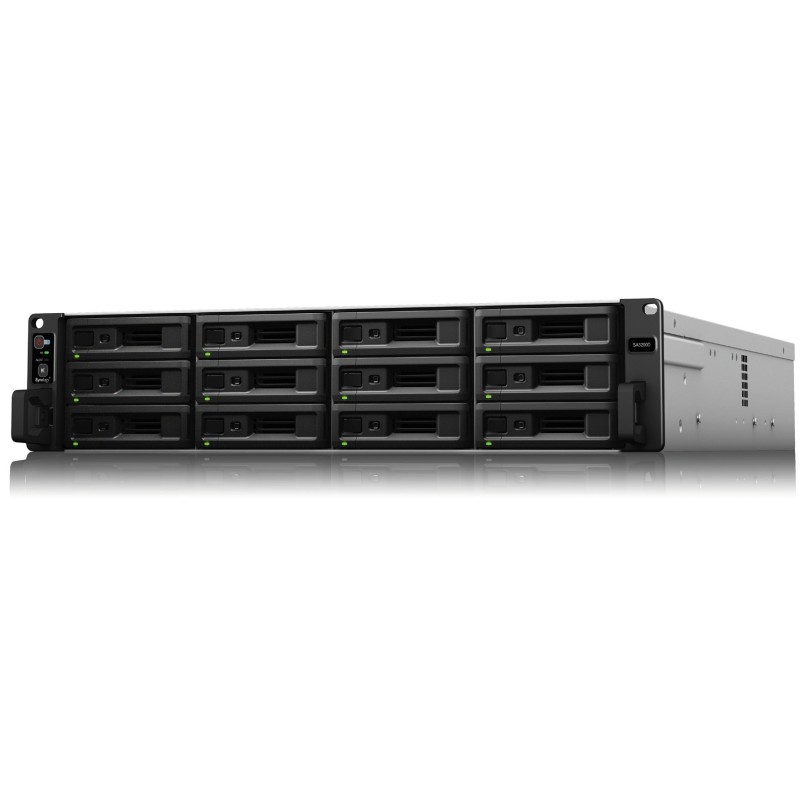 SA3200D - NAS-Server - 12 Schachte - Rack