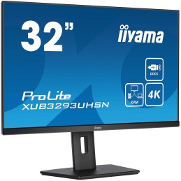 iiyama ProLite...