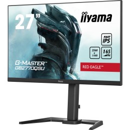 iiyama G-Master...