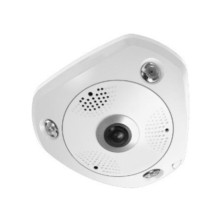 LevelOne FCS-3095 telecamera di sorveglianza Sferico Telecamera di sicurezza IP Interno e esterno 4000 x 3000 Pixel