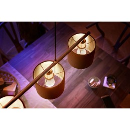 Philips Hue White 2 Lampadine Smart E14 40 W