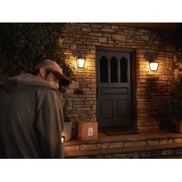 Philips Hue Sensore di Movimento per Esterni