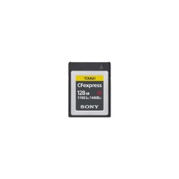 Sony CEB-G128 128 GB PC Card