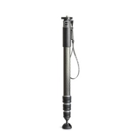 Gitzo GM4542 Monopod Series...