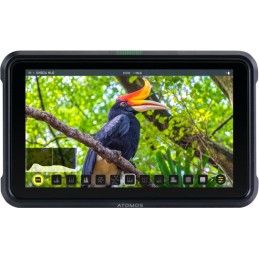 Atomos Shinobi 5" Foto- und...