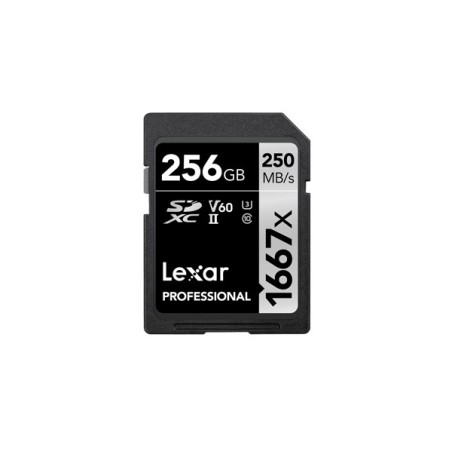 Lexar SDXC, 256 GB UHS-II Classe 10