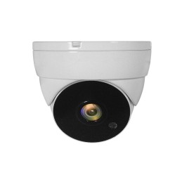LevelOne ACS-5302 telecamera di sorveglianza Cupola Telecamera di sicurezza CCTV Interno e esterno Soffitto