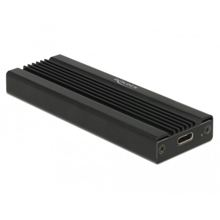 DeLOCK 42600 scheda di interfaccia e adattatore USB 3.2 Gen 1 (3.1 Gen 1)