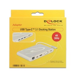 DeLOCK 87298 replicatore di porte e docking station per laptop USB 3.2 Gen 1 (3.1 Gen 1) Type-C Argento