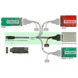 DeLOCK 62984 adattatore per inversione del genere dei cavi 67-pin M.2 Key M U.2 SFF-8639 SATA 15-pin Nero