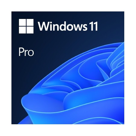 Microsoft Windows 11 Pro 1 licenza e