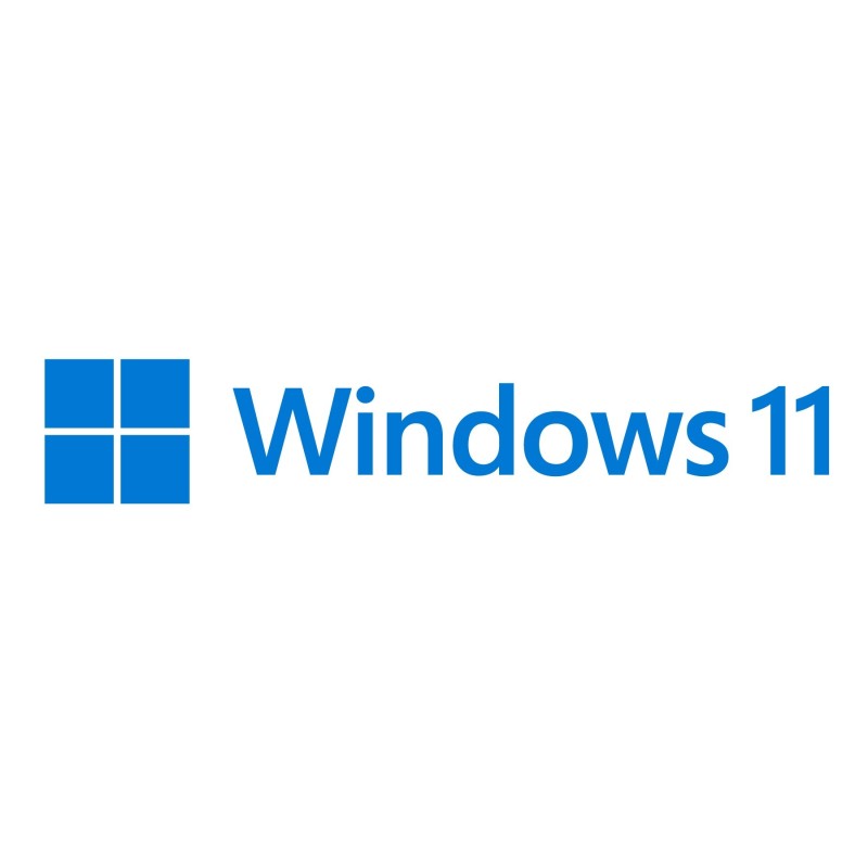 Windows 11 Pro for Workstations - Englisch