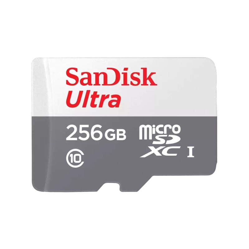 Ultra - Flash-Speicherkarte - 256 GB