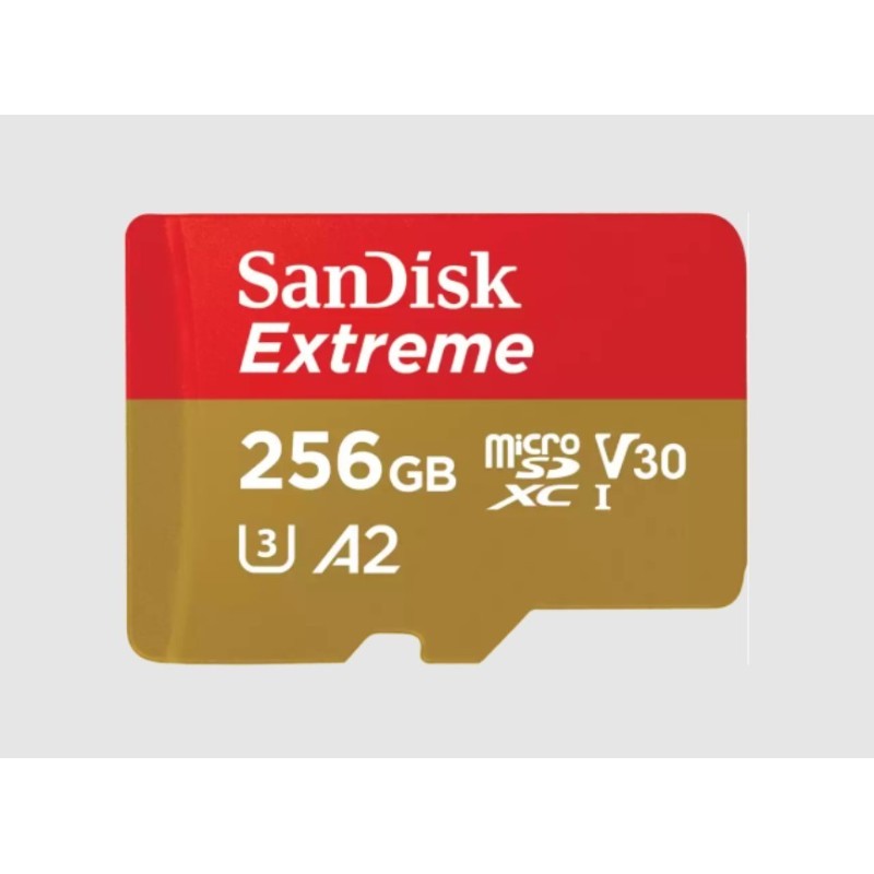 SanDisk Extreme 256 GB MicroSDXC UHS-I Classe 3