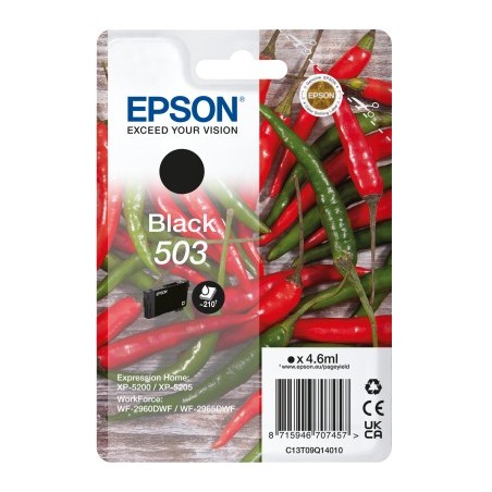 Epson 503 cartuccia d'inchiostro 1 pz Originale Resa standard Nero